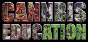 Education for cannabis